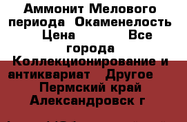 Аммонит Мелового периода. Окаменелость. › Цена ­ 2 800 - Все города Коллекционирование и антиквариат » Другое   . Пермский край,Александровск г.